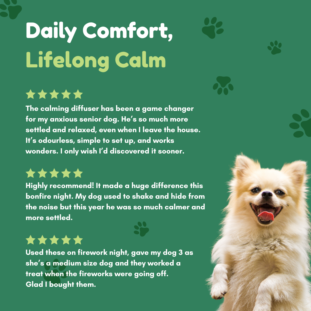 Dog Calming Diffuser Kit