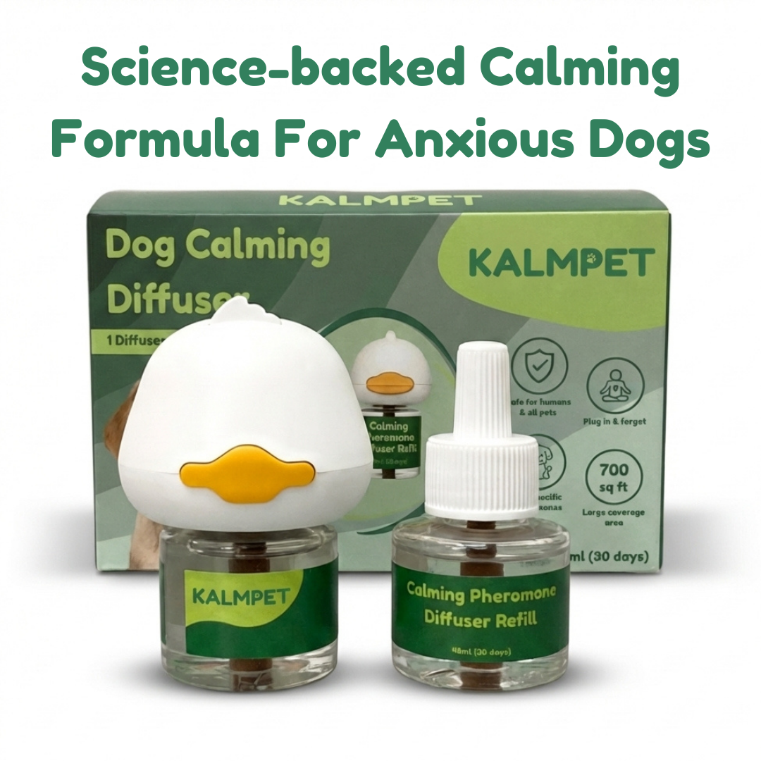 Dog Calming Diffuser Kit