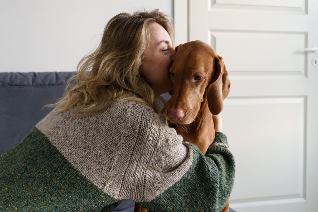 Woman hugging a dog on a couch with a green blanket
