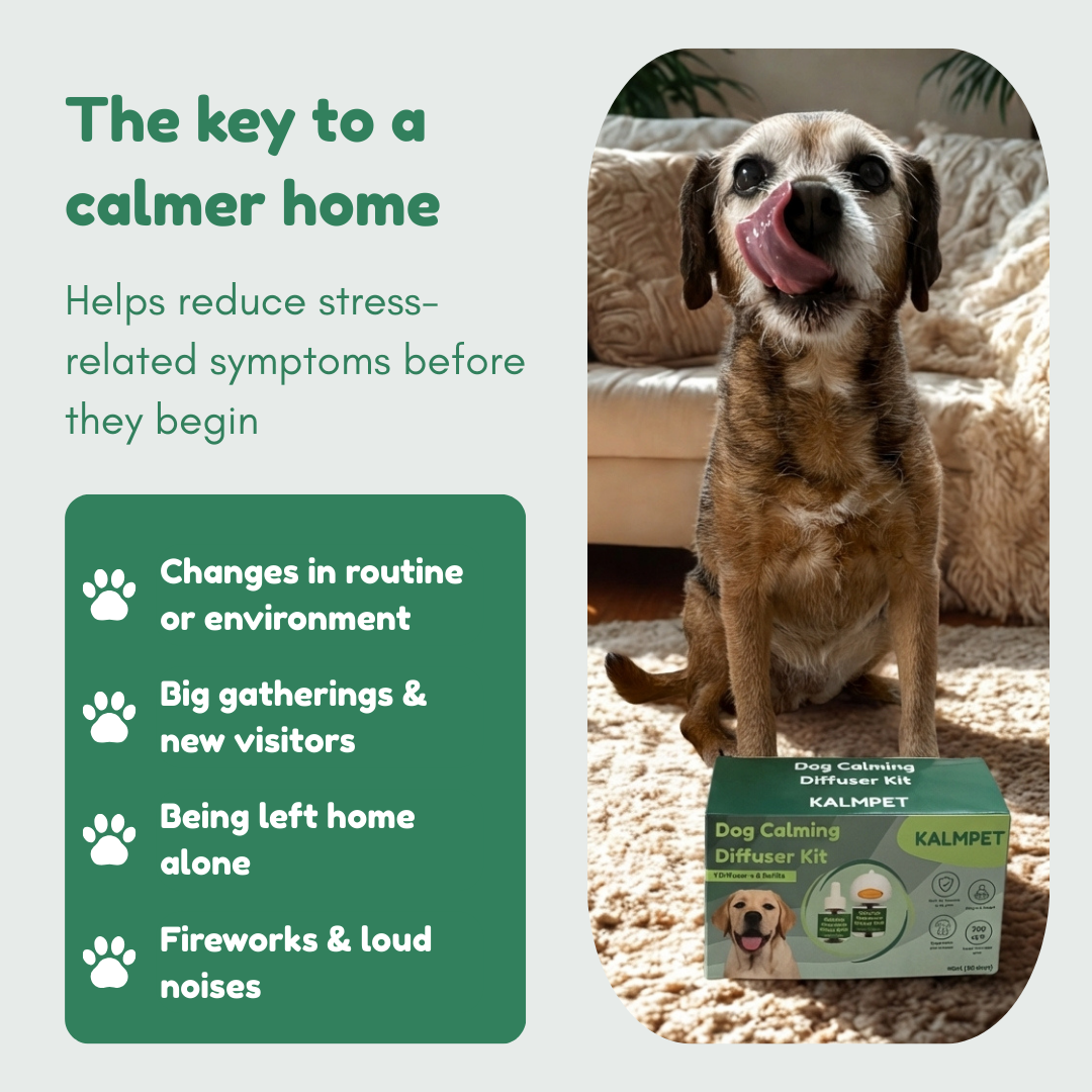 Dog Calming Diffuser Kit