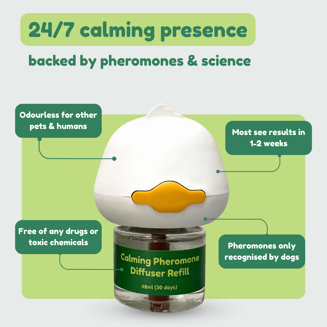 Dog Calming Diffuser Kit