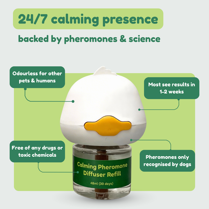 Dog Calming Diffuser Kit