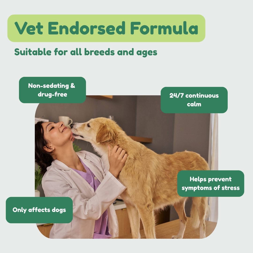 Dog Calming Diffuser Kit