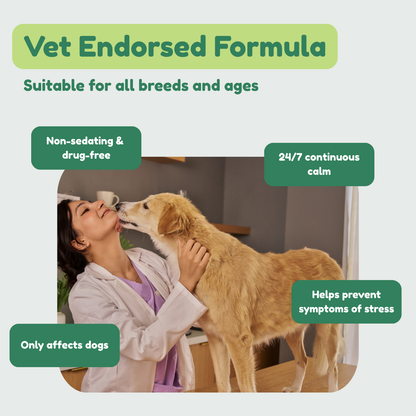 Dog Calming Diffuser Kit